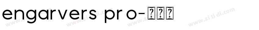 engarvers pro字体转换
